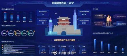 沈阳城市建设主场击败云南昭通的简单介绍
